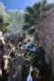 13JoshuaTree - 16